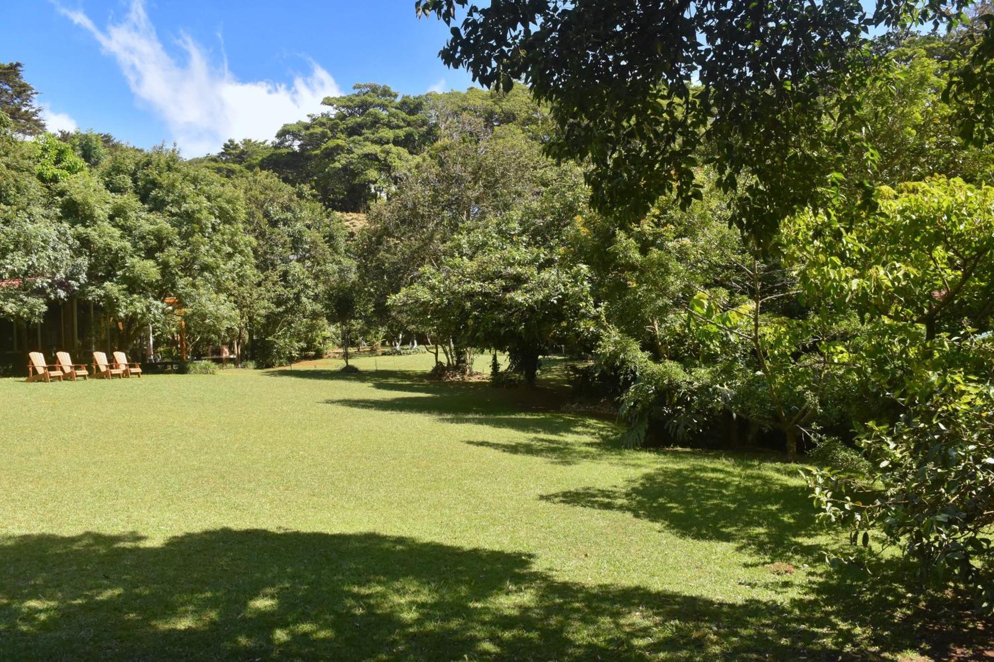 Yerbabuena Lodge Monteverde Exteriör bild
