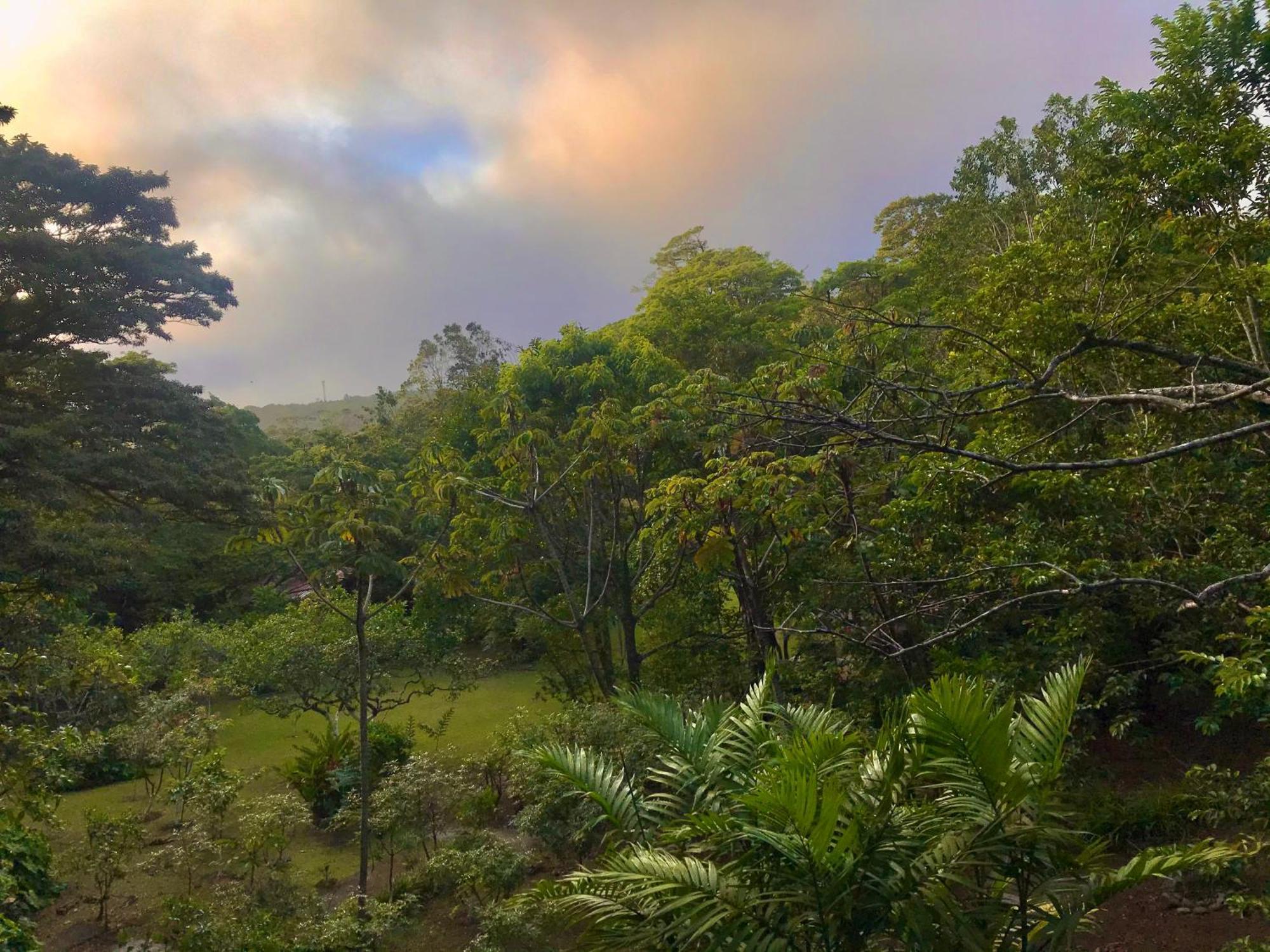 Yerbabuena Lodge Monteverde Exteriör bild